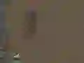 Žaidimas Išgyvenimas internete Žaidimas Išgyvenimas internete