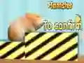 Žaidimas Hamsterio Patvirtinimas internete Žaidimas Hamsterio Patvirtinimas internete