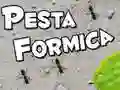 Žaidimas Skruzdėlių Šventė internete Žaidimas Skruzdėlių Šventė internete