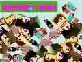 Žaidimas Minecraft Palietimas internete Žaidimas Minecraft Palietimas internete