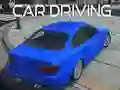 Žaidimas Automobilio vairavimas internete Žaidimas Automobilio vairavimas internete