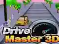 Žaidimas Vairavimo meistras 3D internete Žaidimas Vairavimo meistras 3D internete