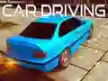 Žaidimas Automobilio vairavimas internete