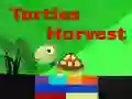 Žaidimas Vėžlių Derlius internete Žaidimas Vėžlių Derlius internete