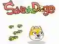 Žaidimas Išsaugok Doge internete Žaidimas Išsaugok Doge internete