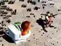 Žaidimas TopDown Skibidi Tualeto Šaudymas internete Žaidimas TopDown Skibidi Tualeto Šaudymas internete