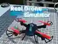 Žaidimas Realių dronų simuliatorius internete
