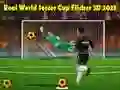 Žaidimas Tikroji Pasaulio futbolo taurė Flicker 3D 2023 internete