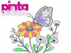 Žaidimas Pinta Spalva internete Žaidimas Pinta Spalva internete
