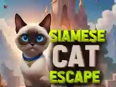 Žaidimas Siamiečių katės pabėgimas internete Žaidimas Siamiečių katės pabėgimas internete