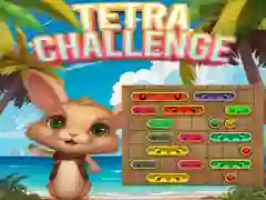 Žaidimas Tetra Iššūkis internete Žaidimas Tetra Iššūkis internete