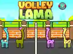 Žaidimas Volley Lama internete Žaidimas Volley Lama internete