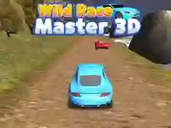Žaidimas Laukinis lenktynių meistras 3D internete Žaidimas Laukinis lenktynių meistras 3D internete