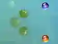 Žaidimas Mano nuotykiai internete
