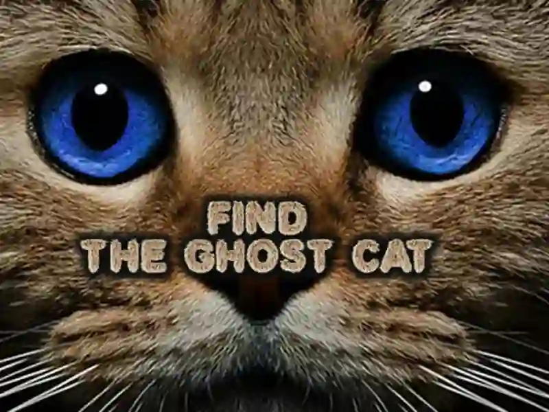 Žaidimas Raskite „Ghost Cat“ internete
