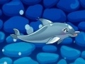 Žaidimas Mano delfinų šou 5 internete