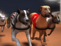Žaidimas Greyhound lenktynės internete