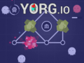 Žaidimas Yorg.io internete