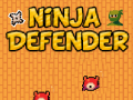 Žaidimas Ninja Gynėjas internete