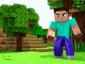 Žaidimas Mini Craft internete