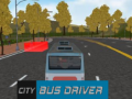 Žaidimas Miestinio autobuso vairuotojas internete