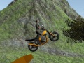 Žaidimas Dirt Bike Raitelis internete
