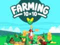Žaidimas Žemės ūkis 10x10 internete