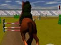 Žaidimas Šokinėjantis Arklys 3D internete