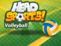 Žaidimas Head Sports Tinklinis internete