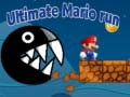 Žaidimas Galutinis Mario bėgimas internete