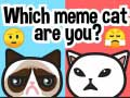 Žaidimas Koks tu meme katinas? internete