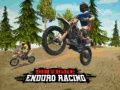 Žaidimas Enduro motociklų lenktynės internete