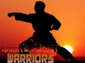 Žaidimas Karate Saulėlydžio Kariai internete