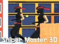Žaidimas Sniper Meistras 3D internete