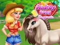 Žaidimas Audrey Pony Dieninė priežiūra internete