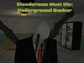 Žaidimas Slenderman turi mirti: Požeminė Patalpa internete
