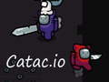 Žaidimas Catac.io internete