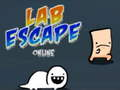 Žaidimas Laboratorijos pabėgimas internete internete