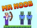 Žaidimas Ponas Noob internete