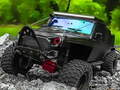 Žaidimas Beždžionių Jeep vairavimo mįslė internete