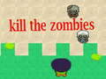 Žaidimas Nužudykite zombius internete
