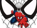 Žaidimas Spiderman Rungtynių Kortelės internete