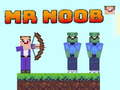 Žaidimas Ponas Noob internete