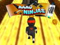 Žaidimas Nano Ninja internete