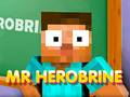 Žaidimas Ponas Herobrine internete