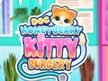 Žaidimas Doktor HoneyBerry Katinų Chirurgija internete