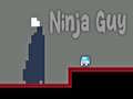 Žaidimas Ninja Vaikinas internete