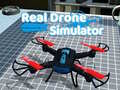 Žaidimas Realių dronų simuliatorius internete