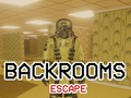 Žaidimas Ištrūkimas iš Backroomų internete