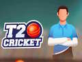 Žaidimas T20 Kritas internete